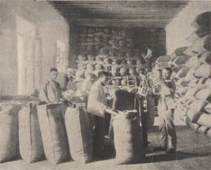 Salón de empaques, cafetales Santa María. Tomado de La Hacienda, No. 12, Buffalo, 1906.